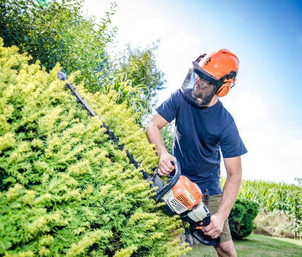 hg_thorsten-hagedorn-landschaftsgaertner-georgsmarienhuette-gartenpflege-3